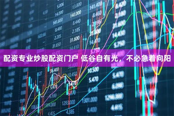 配资专业炒股配资门户 低谷自有光，不必急着向阳
